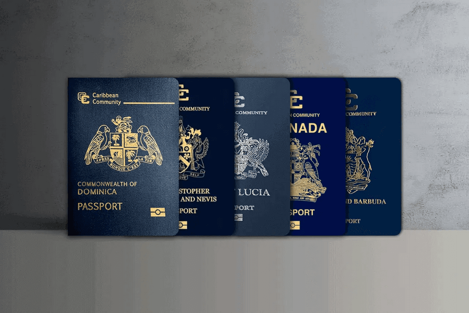 Best Citizenship Programs