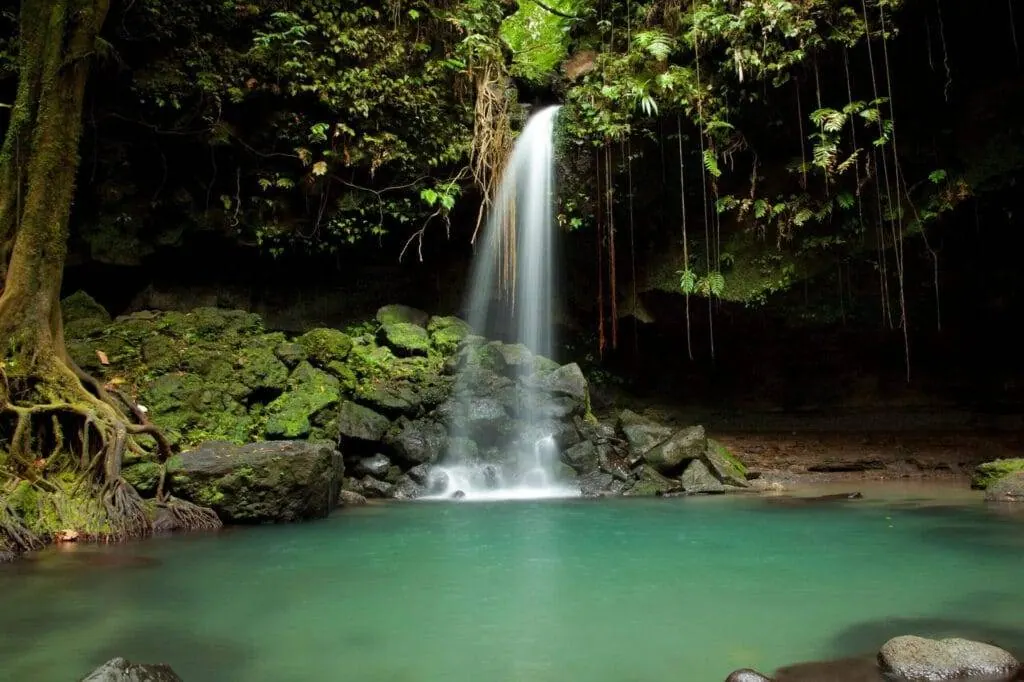 Volcanic peaks and rainforest of Dominica, the Nature Isle – Dominica Citizenship by Investment
