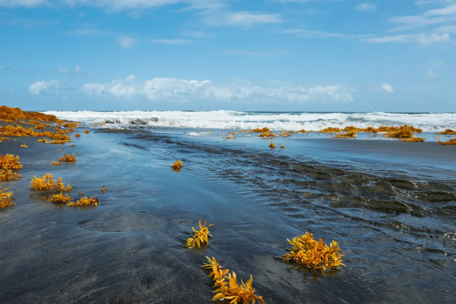 Black sand beach at Rosalie, Dominica – Dominica Citizenship by Investment