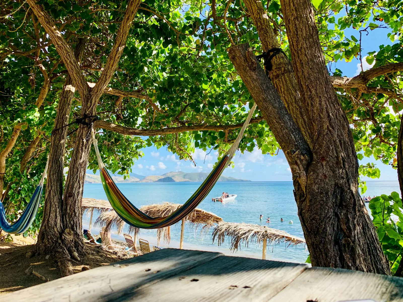 Hammock under beach trees on St Kitts – St Kitts and Nevis Citizenship