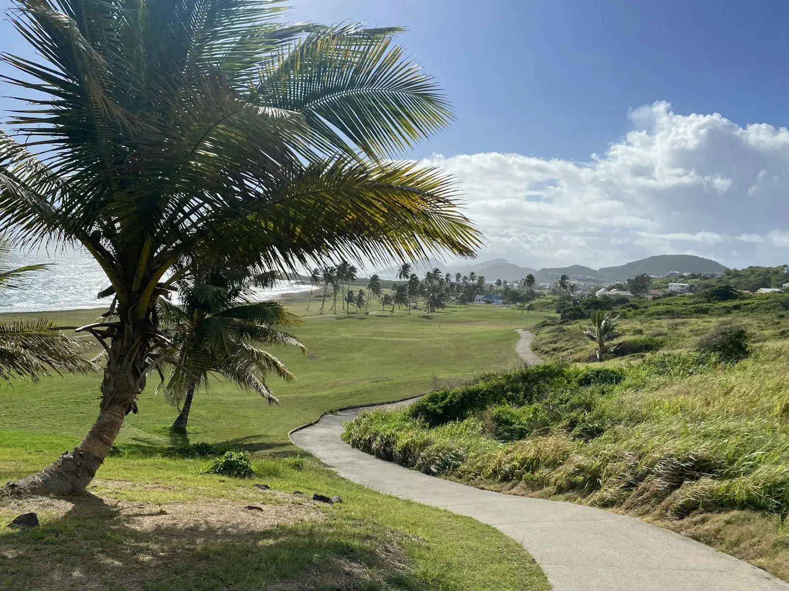 Coastal path and palms near Basseterre, St Kitts – St Kitts and Nevis Citizenship