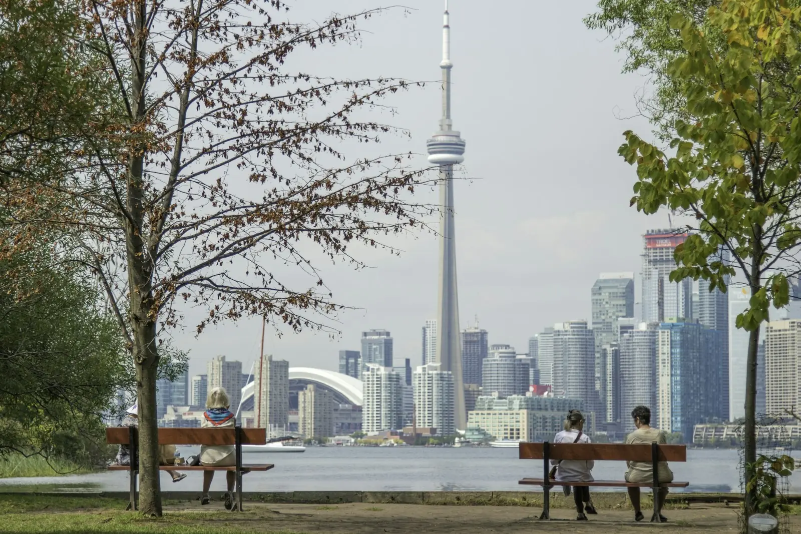 Toronto skyline seen from a lakeside park – Childbirth in Canada