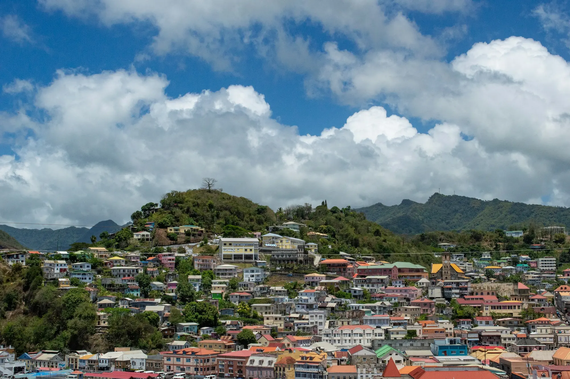 Hillside homes above St George's, Grenada