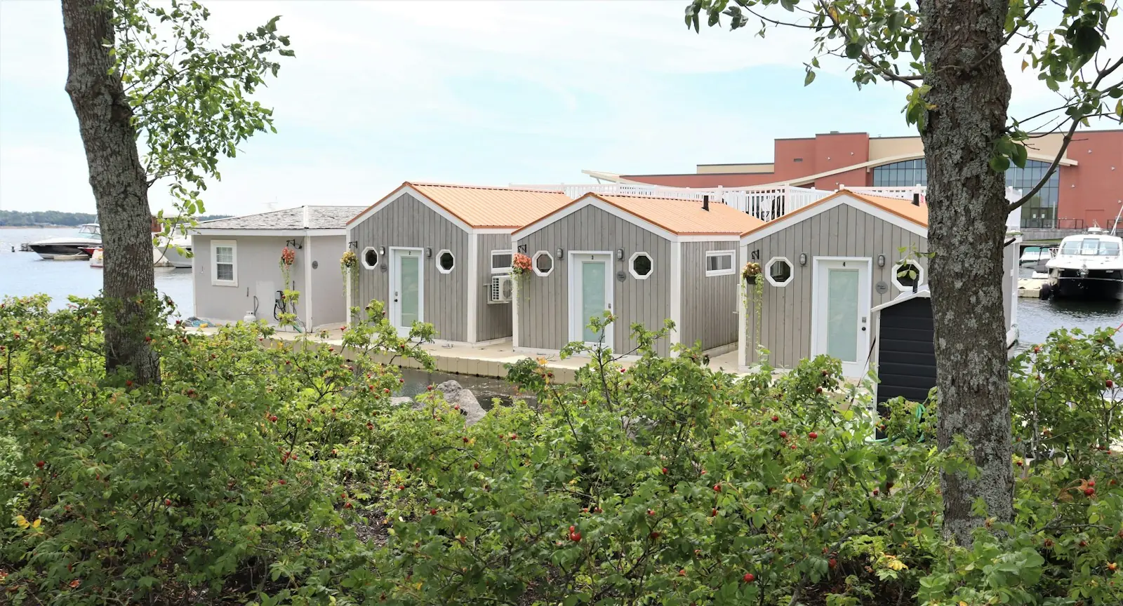 Riverside buildings in Fredericton, New Brunswick