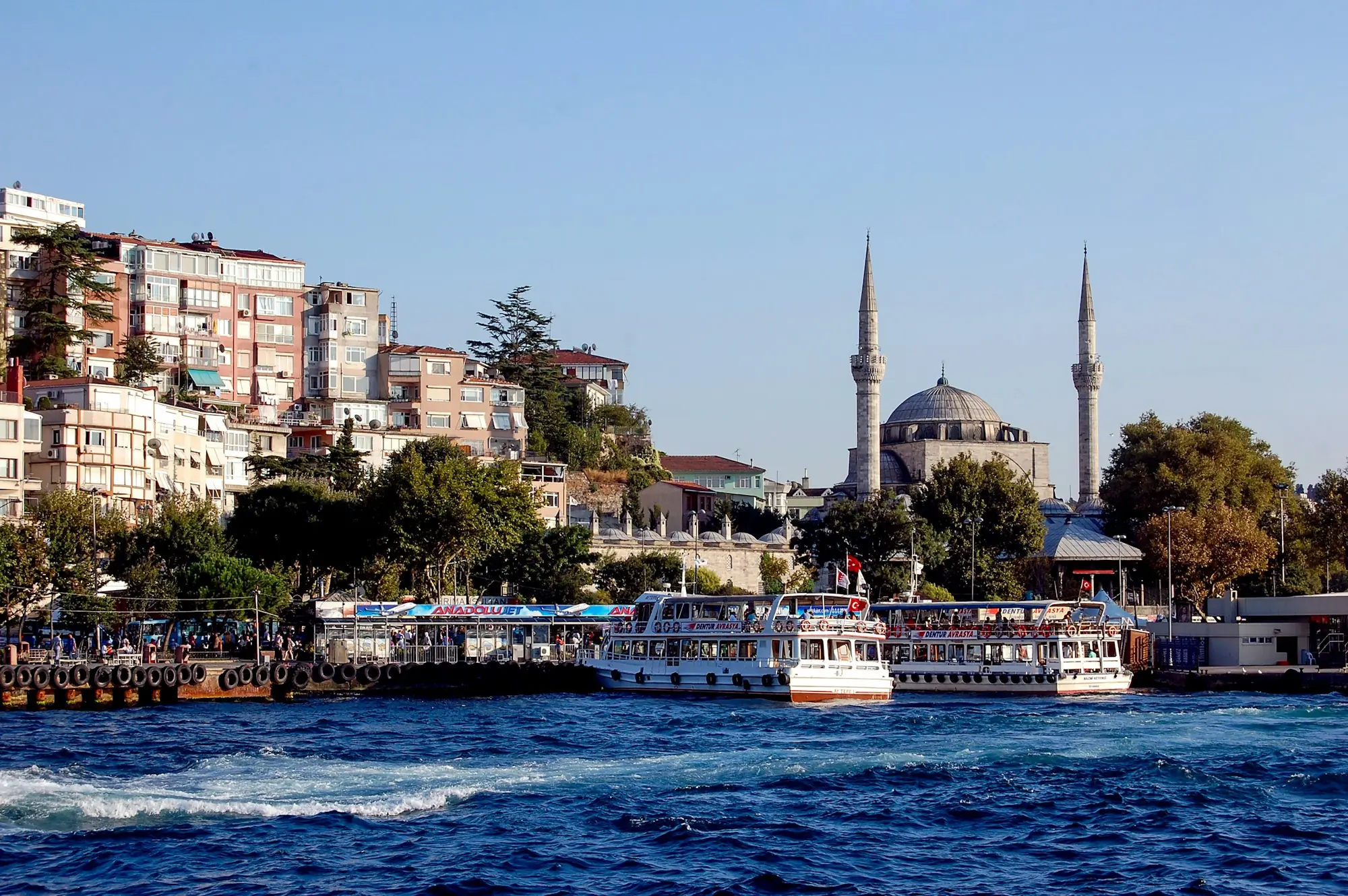 Istanbul homes and mosque above the Bosphorus